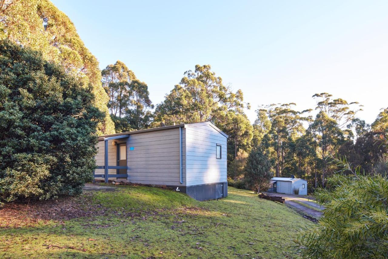 Nrma Port Arthur Holiday Park Екстериор снимка