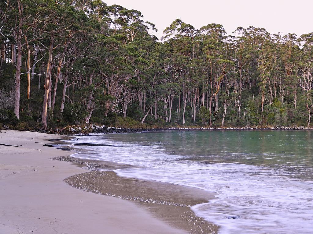 Nrma Port Arthur Holiday Park Екстериор снимка