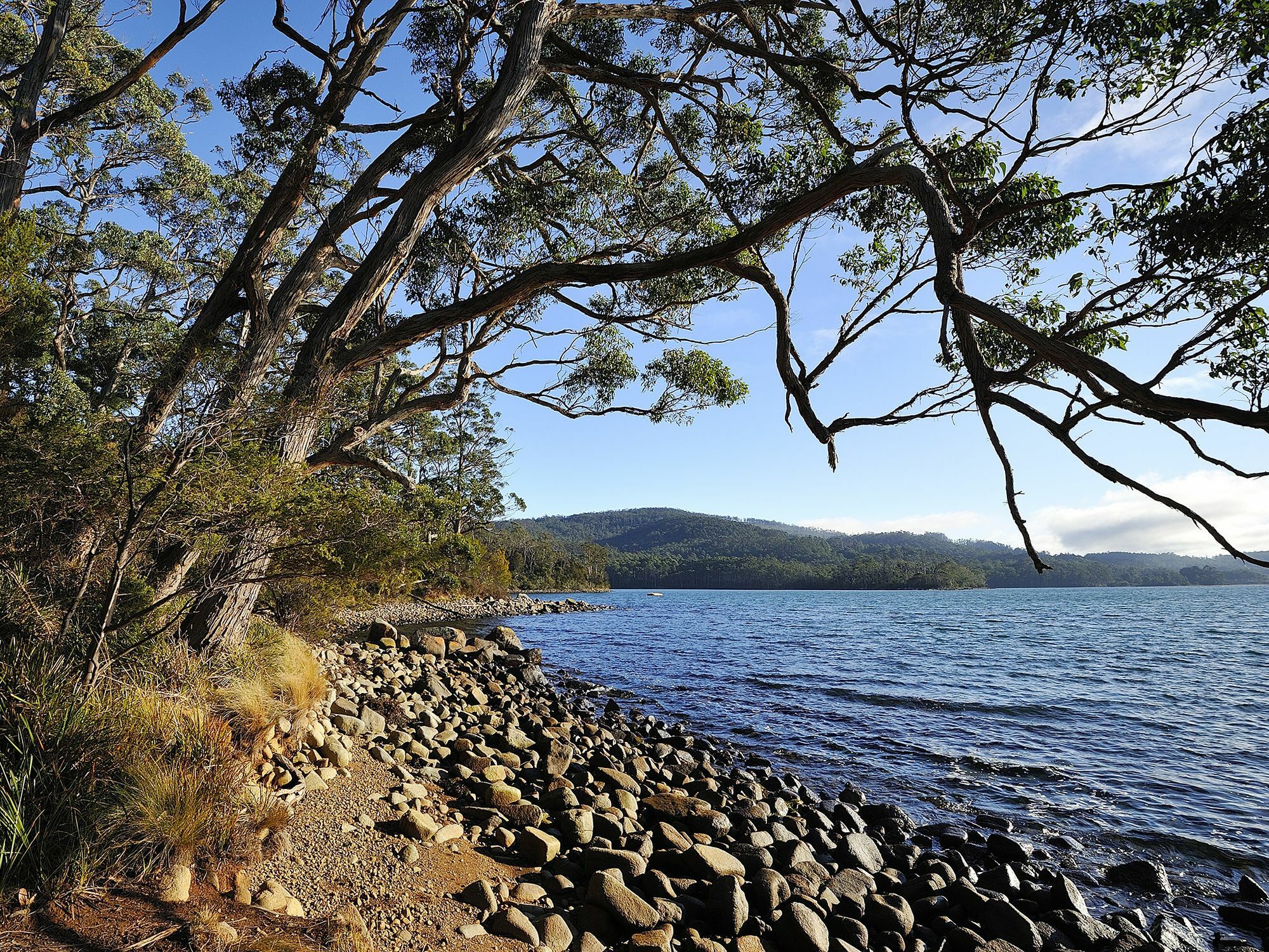 Nrma Port Arthur Holiday Park Екстериор снимка